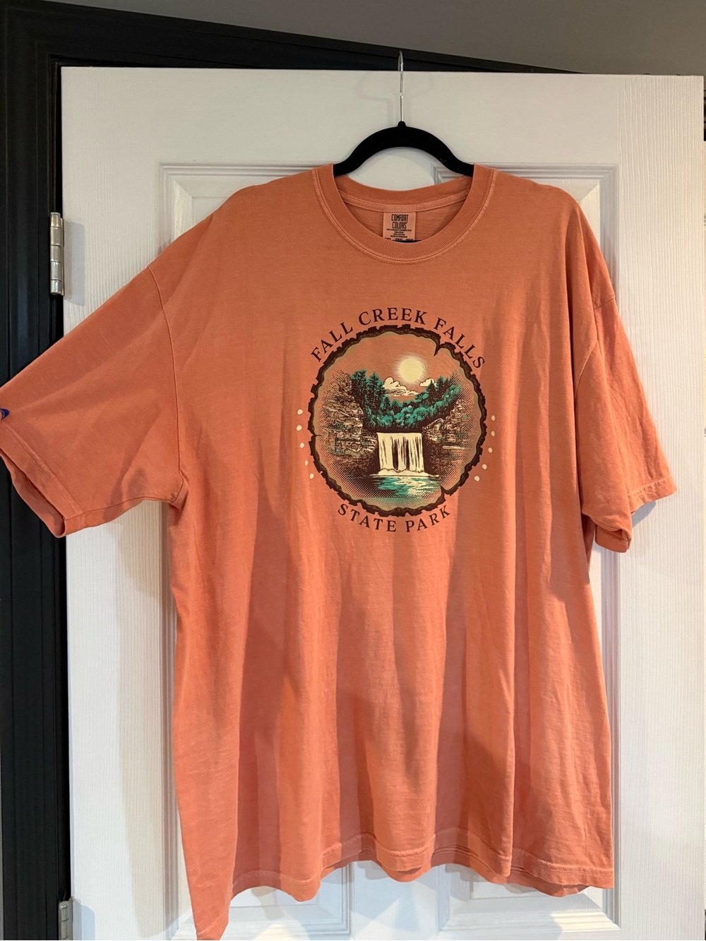 Comfort Colors Tshirt